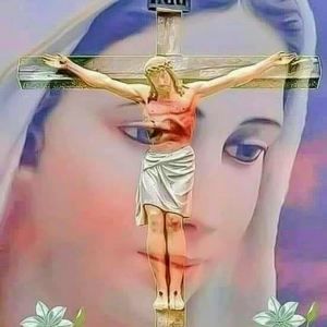 Meet your Posher, Louis